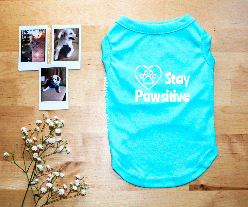 Stay Pawsitive Tee