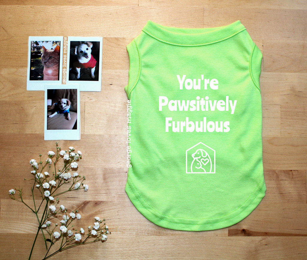 Pawsitively Furbulous Tee