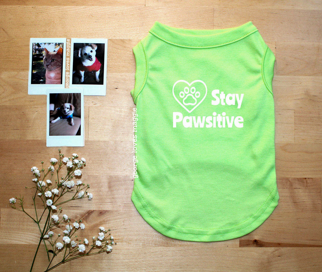 Stay Pawsitive Tee