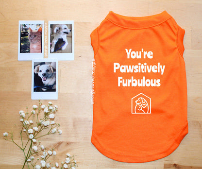 Pawsitively Furbulous Tee