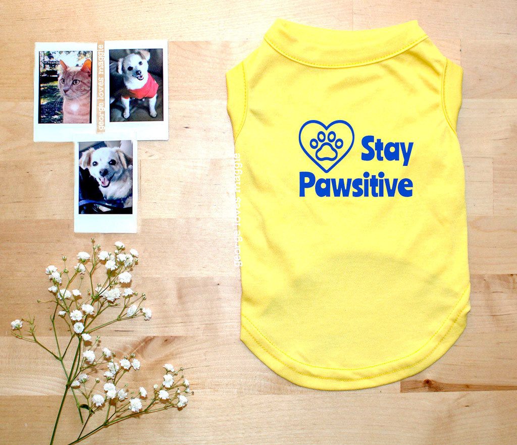 Stay Pawsitive Tee